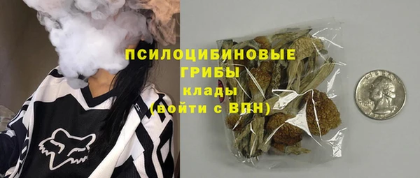молекула духа Зеленодольск