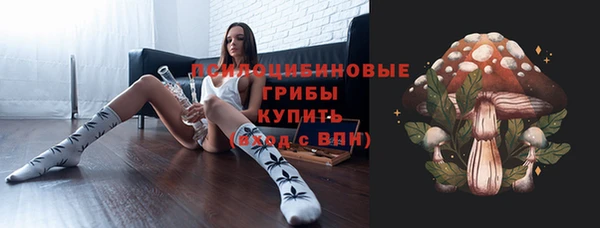 молекула духа Зеленодольск