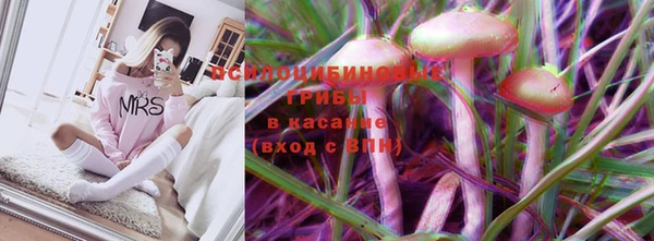 молекула духа Зеленодольск
