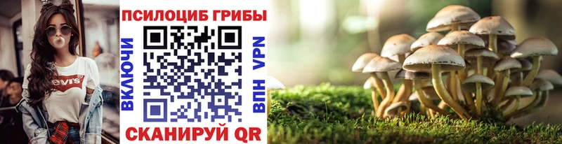 Купить где  Бирск  Псилоцибиновые грибы мухоморы 